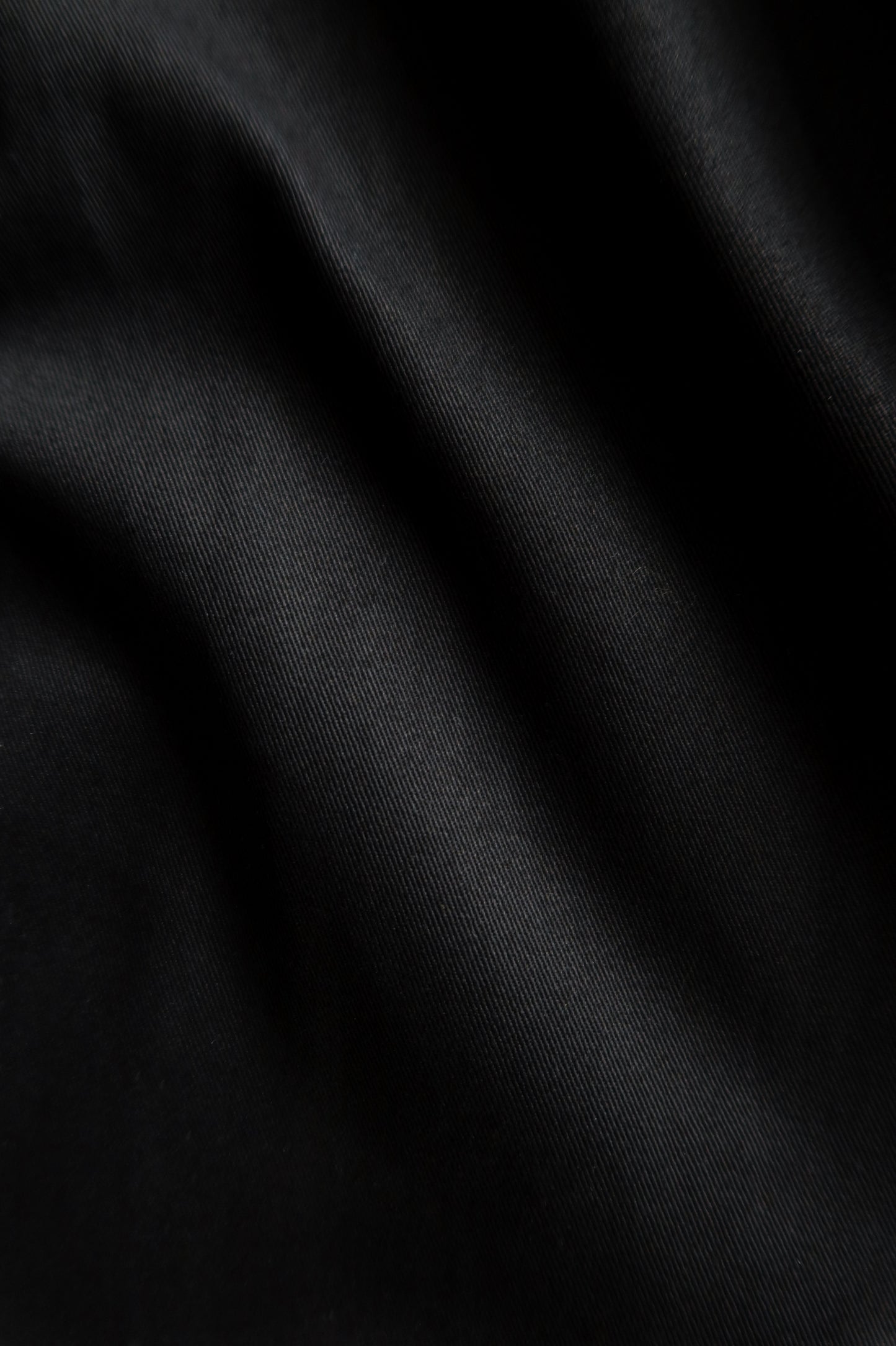 Twill Pleated pant